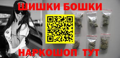 прущие грибы Будённовск