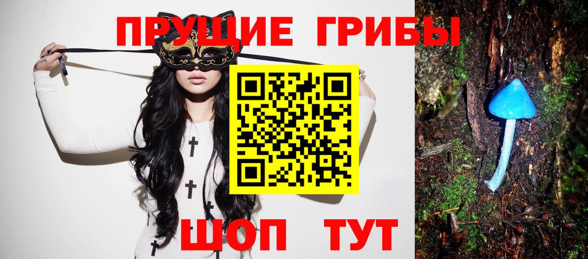 Псилоцибиновые грибы GOLDEN TEACHER Славгород