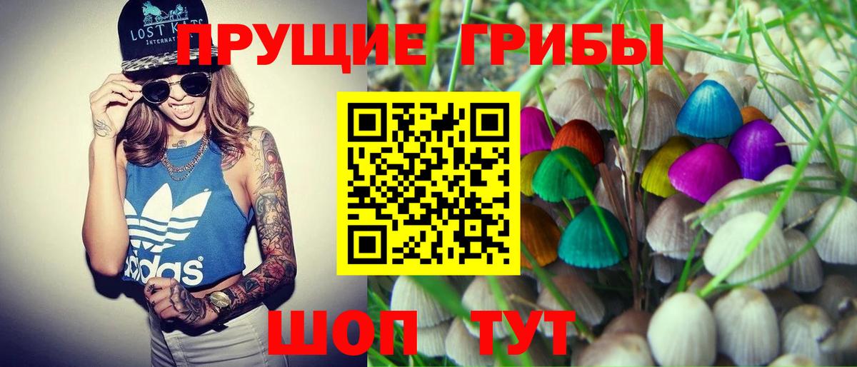 Славгород  где купить наркотик  Вход с VPN  Галлюциногенные грибы прущие грибы  Галлюциногенные грибы ЛСД 